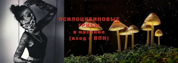 эйфоретик Алексеевка