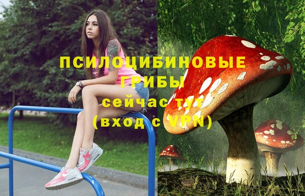 таблы Алзамай