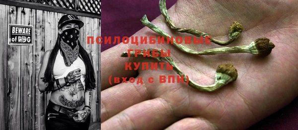эйфоретик Алексеевка