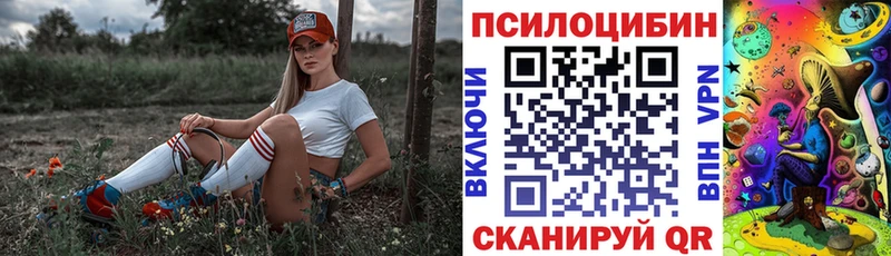 Галлюциногенные грибы GOLDEN TEACHER Краснозаводск